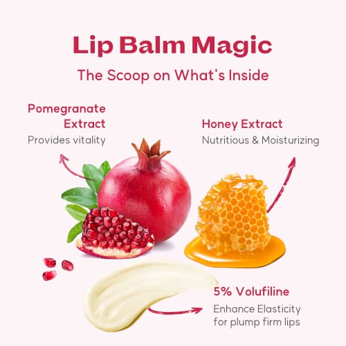 WELCOS FRUDIA Honey Lip Balm – Pomegranate | Lip Plumping, Moisturizing & Hydrating Translucent Red Tinted Lip Balm | 3-in-1 Lip Plumper Balm for Dry & Pale Lips with Pomegranate Extracts (0.33 fl oz)