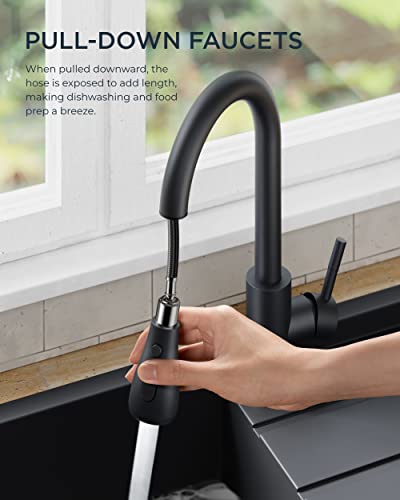 FORIOUS Kitchen Faucet with Pull Down Sprayer, Brushed Black, High Arc Single Handle, Deck Plate, RV Stainless Steel, 1.8 GPF