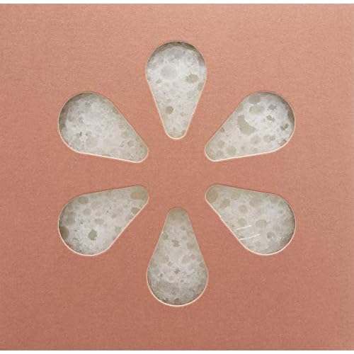 kai Body Buffer Rose, 2 Count, Innovative Bath sponges That Gently exfoliates Skin While Cleansing The Body with a Fresh + Clean Gardenia Rose Absolute Scent, Vegan, Cruelty Free, Made in The USA