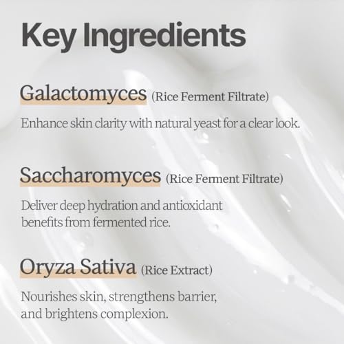 Rice Makgeolli Serum ? Concentrated Hydrating & Nourishing Formula ? Made with Domestically Sourced Korean Rice ? 30 ml (1.01 Fl Oz) ? Korean Skincare
