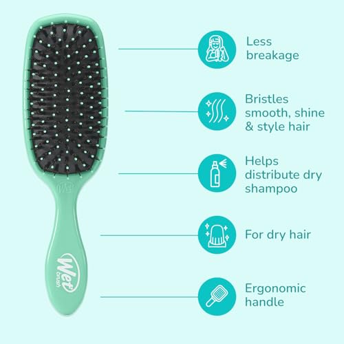 Wet Brush Shine Enhancer Aqua - Pack of 1 Natural Boar & IntelliFlex Brush