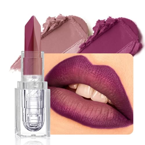2-in-1 Matte Metallic Lipstick & Lip Liner | Waterproof Long Wear