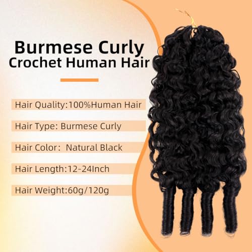 Burmese Curly Crochet Human Hair 16 Inch 120g 15A
