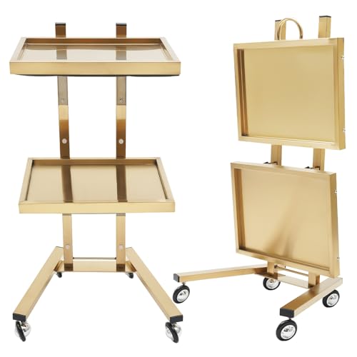 2-Tier Stainless Steel Salon Cart with Wheels