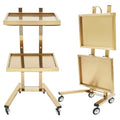 2-Tier Stainless Steel Salon Cart with Wheels