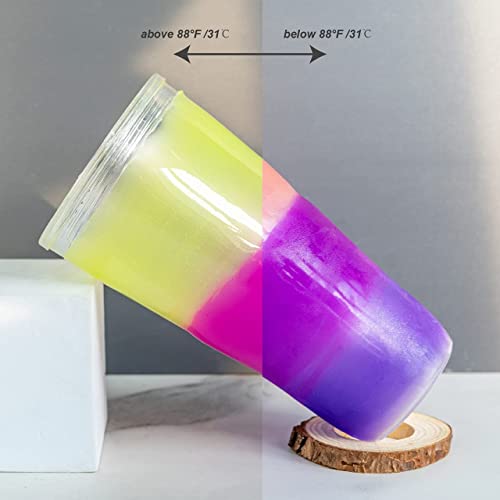 LET'S RESIN Thermochromic Pigment Powder - 5 Color Set for Resin & Crafts