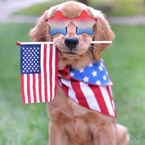 Mysense 4th of July Accessories Set - Sunglasses, Necklaces & Glitter
