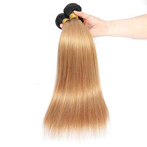 10 12 14 inch Honey Blonde Human Hair Ombre Bundles 1B27 Blonde Straight Human Hair Two Tone Bundles Brazilian Hair Weave Honey Blonde Straight Hair Extensions