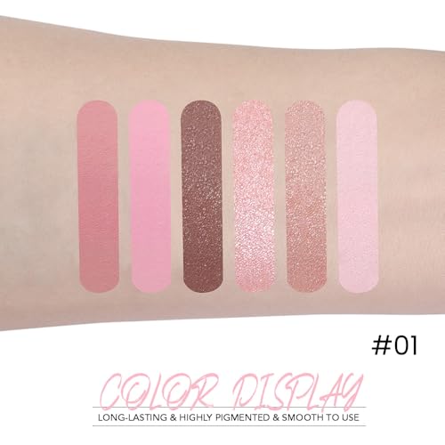 WanTuoluo 6-Color Eyeshadow Palette – Matte & Shimmer