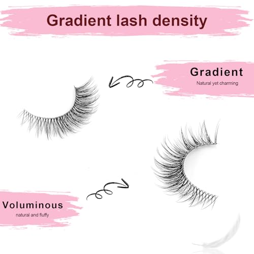 Natural Wispy Cat Eye Lashes | 13mm Clear Band | 10 Pairs