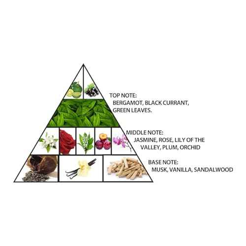 Al Haramain L'aventure Gold Eau De Parfum Spray for Women 6.7 Ounce