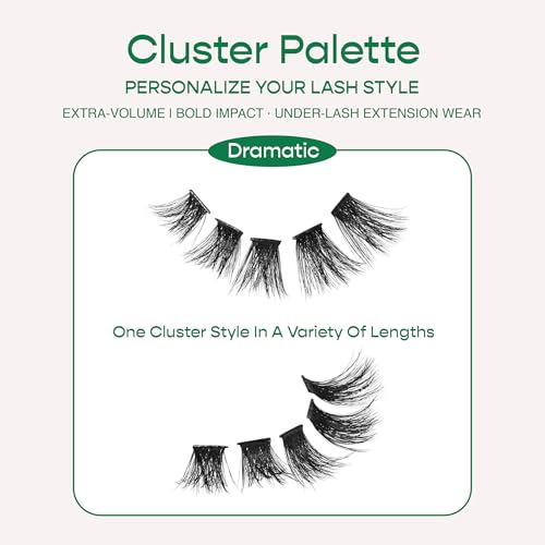 i•ENVY Cluster Lash Refill 10-15MM Dramatic #18