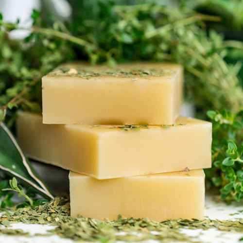 Chagrin Valley Soap & Salve Neem & Tea Tree Organic Soap & Shampoo Bar ? Soothe Dry, Itchy, Irritated Skin - Sulfate Free - For Body & Hair Vegan Shampoo Natural, Large 5.6 oz Bar - 3PK