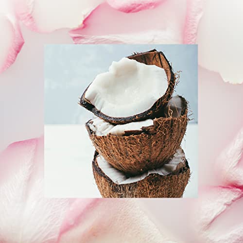 Raw Sugar Beach Rose + Coconut Milk + Shea Body Love Bundle - Sensitive Skin Body Wash, Body Scrub & Deodorant, Clean Ingredients, Formulated without Sulfates and Parabens