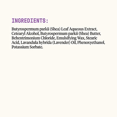 Alaffia EveryDay Shea Conditioner, Moisturizes, Restores and Protects, Made with Fair Trade Shea Butter, Cruelty Free, No Parabens, Vegan, Lavender, 2 Pack, 32 Fl Oz Ea