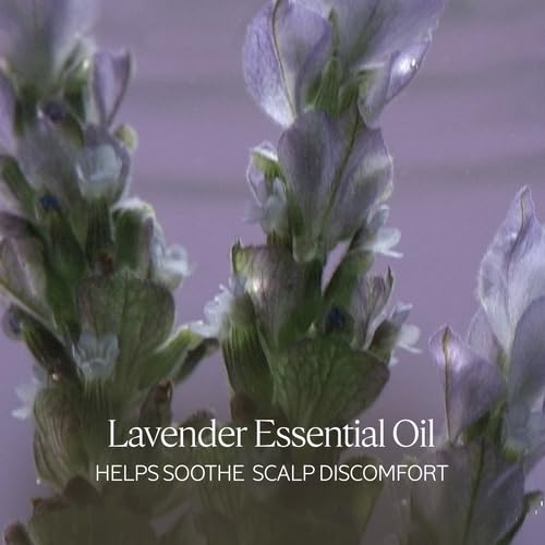 L'OCCITANE Aromachologie Gentle & Balance Conditioner 16.90 fl.oz