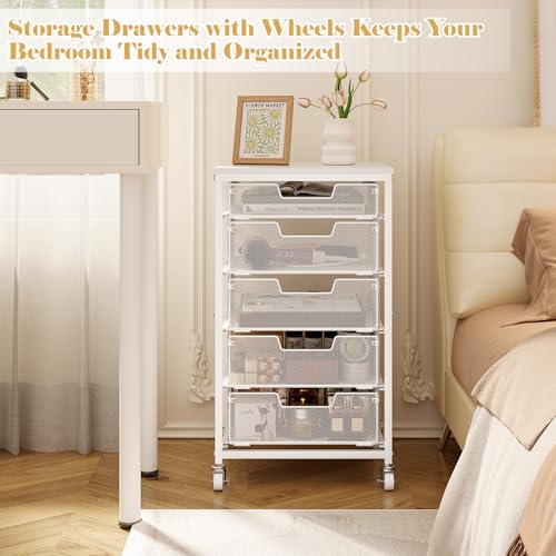 Sbanmao 5-Drawer Rolling Storage Cart with Lockable Wheels