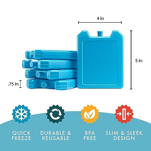 Cool Coolers by Fit + Fresh, 5 Pack Days of the Week Ice Blocks, Compact Reusable Ice Packs for Lunch Boxes & Coolers, Multi Colored