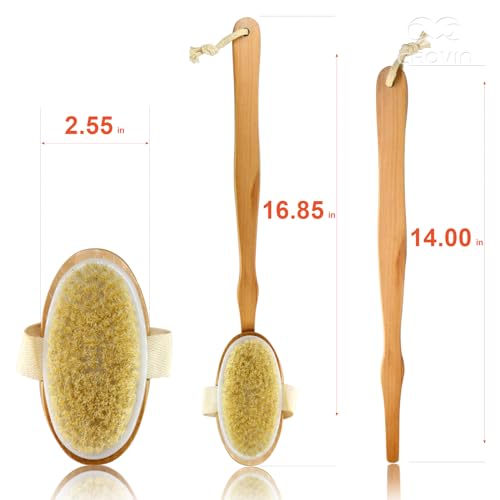 Dry Brushing Body Brush with Natural Boar Bristle Dry Brush for Exfoliating Loofah Body Scrubber - Face Brush -Bath and Shower Gloves - Pumice Stone Foot Scrub - Men and Women (Pack of 5)