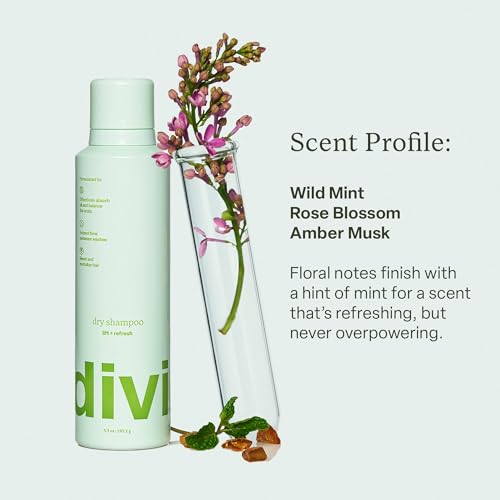 Divi Dry Shampoo Travel Size Duo - 1.7oz (2 Pack)