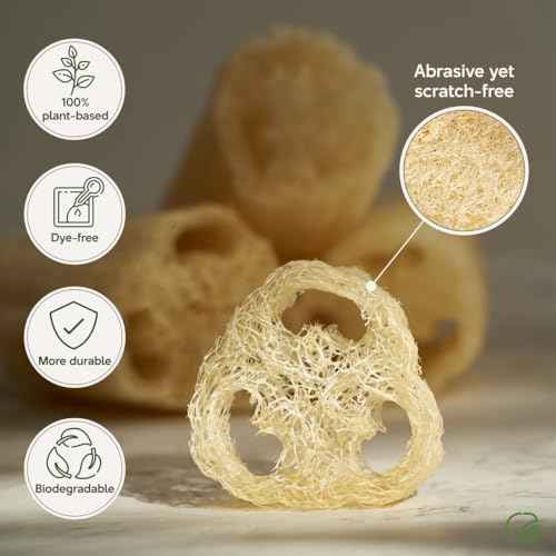 Chill Ah Green Glow Loofah Sponge Set ? 100% Plant-Based, Dye-Free, Biodegradable, Scratch-Free, Handcrafted in Vietnam (2-Pack)
