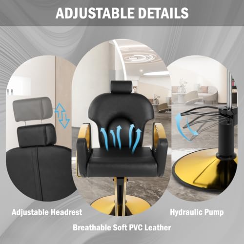 Salon Chair with Hydraulic Pump, 360 Swivel Barber Styling