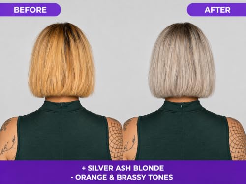 Naissant Silver Ash Blonde Toning Mask | Blue Pigment