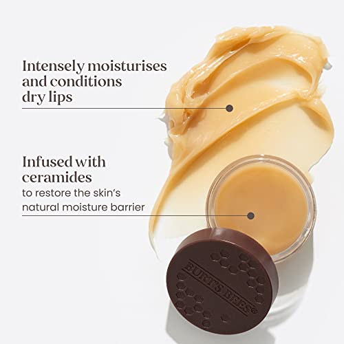 BURTS BEES Overnight Lip Treatment, 7.08 GR
