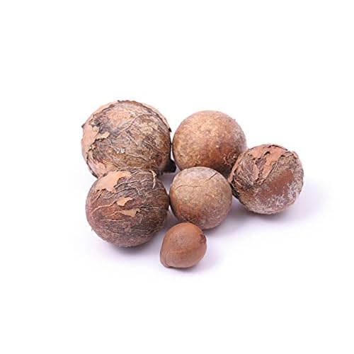 Tamanu Oil - Pure, Uncut, Unrefined, Non-GMO, Cold Pressed, Nut Carrier Oil for Skin, Hair, Nails, Body, Face, DIY, Cosmetic - 16 oz - Hydrating, Moisturizing