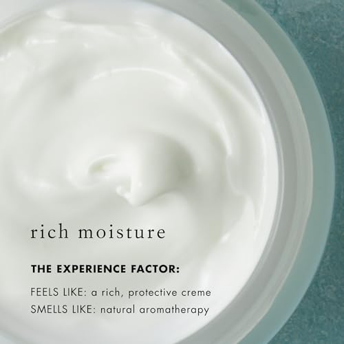 Bioelements SPF 50 FaceScreen - 2.3 oz - Antioxidant, Broad-Spectrum SPF 50 Sunscreen Moisturizer - Vegan, Gluten Free - Never Tested on Animals