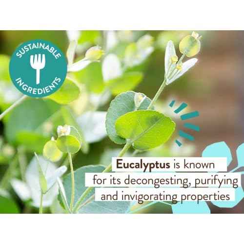 Babo Botanicals Eucalyptus Remedy Shampoo & Wash - Invigorating Eucalyptus & Rosemary Essential Oils -For all Ages - EWG Verified - Vegan - Cruelty Free