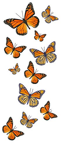 55 Monarch Butterfly Temporary Tattoos - 5 Sheets