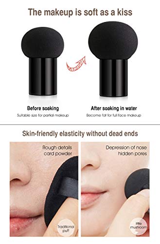 Air Cushion BB Cream with Mushroom Sponge – SPF50+ Concealer
