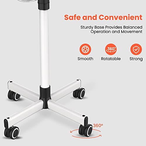 Professional 2-in-1 Facial Steamer with 3X Magnifying Lamp