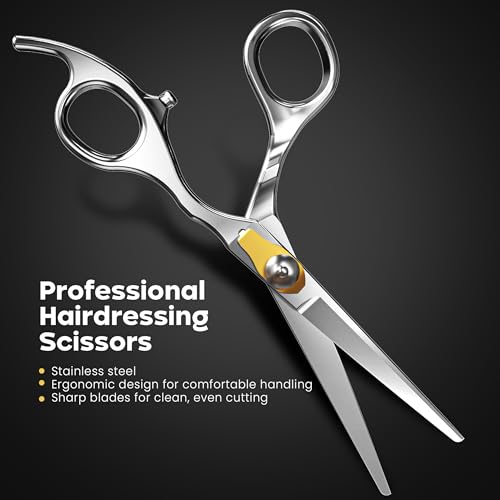 Professional Hair Cutting Scissors - 6.5 Inch Salon Barber Shears - Silver