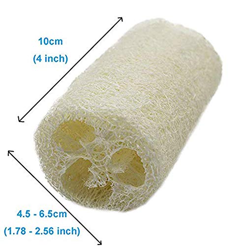 Natural 6 Pack of 4 inch Loofah, Serdokntbig SPA Exfoliating Scrubber for Skin Care in Bath, Best Luffa Body Scrub Sponge, Remove Dead Skin