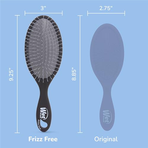 Wet Brush Frizz-Free Detangler Brush with Ionic Technology, Black, Provides Frizz Control, Reduces Static, and Smooths All Hair Types, Best for Dry Hair, Made for Women, Men & Kids