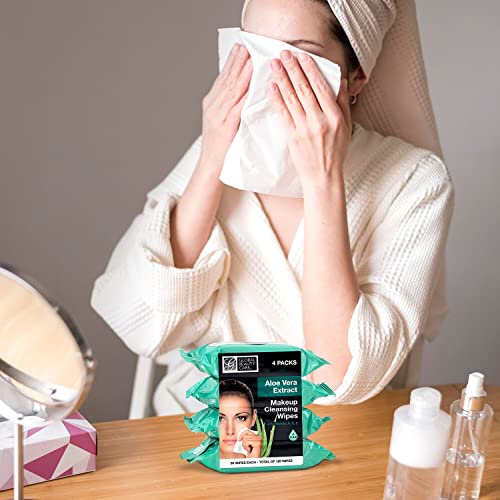 Global Beauty Care Makeup Remover Wipes (120 Count, Aloe Vera)