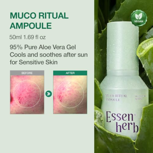 Muco Ritual Aloe Vera Ampoule 95% Pure Gel 50ml