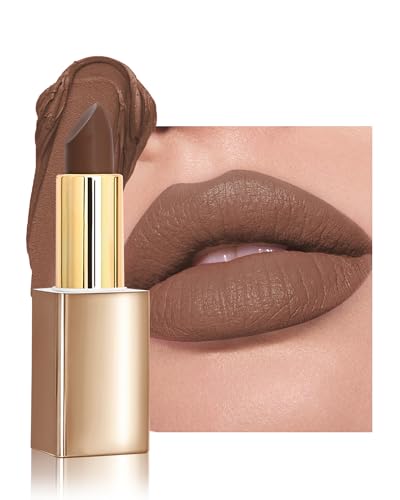 Brown Velvet Matte Lipstick - Long Lasting Waterproof Gloss