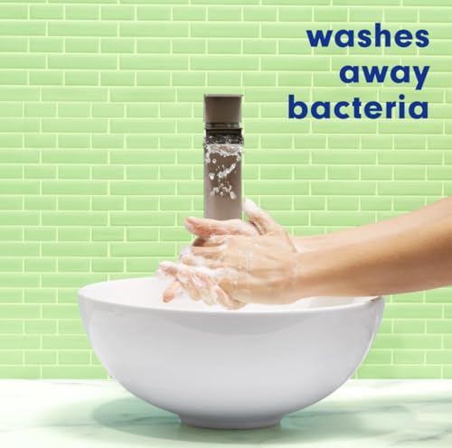 Softsoap Antibacterial Liquid Hand Soap Pump - Sparkling Pear Scent, 11.25 fl oz, Pack of 6