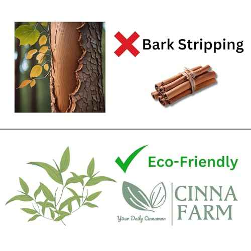 Shampoo, from Cinnamon leaves extraction, Hydrating and soothing, no artificial fragrance, fulfates and silicones free, natural ingredients, color safe