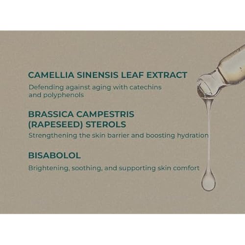 INNA ORGANIC Rejuvenating Lotion, Anti-aging, Wrinkle Care, Fine Lines & Tightening, EWG & COSMOS Certified | Chirstmas gift | Frankincense Essential Oils Infused Skin Care | Luxury Clean Beauty