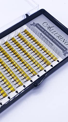 5D Volume Lashes 11mm D Curl .07mm Eyelash Extensions