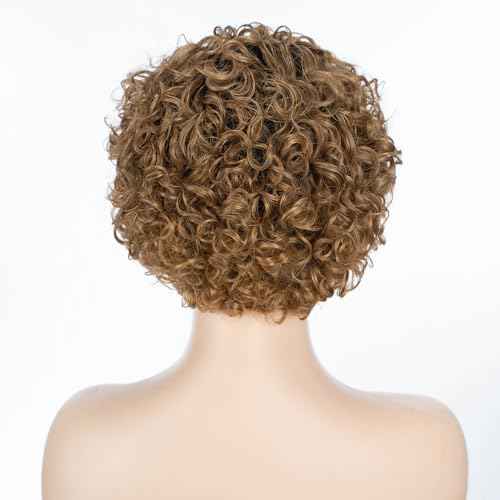 QUEEN VIRGIN REMY QVR Pixie Cut Wig 13x1 Short Curly Lace Front Human Hair HD Lace Pixie Human Hair Wigs for Black Women Glueless Wigs Ombre Honey Blonde T1B/27 Color