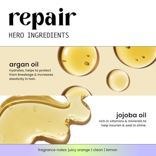 HASK Gloss Coat Argan Oil Hair Glaze - 5 Minute Shine Treatment