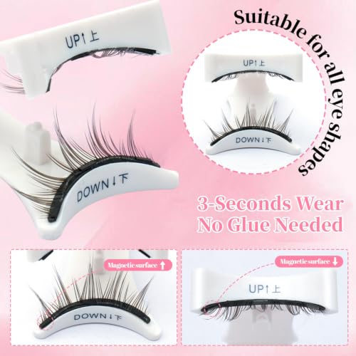 Magnetic Lashes with Applicator - No Glue Reusable Eyelashes