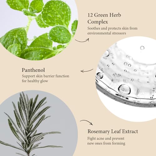 Fraijour Herb Wormwood O©ü Mask Pack ? Korean Oxygen Bubble Face Mask for Sensitive, Oily & Acne-Prone Skin, Exfoliating with AHA BHA, Tea Tree & Peppermint, Smooths & Refreshes, 10.1 fl.oz.