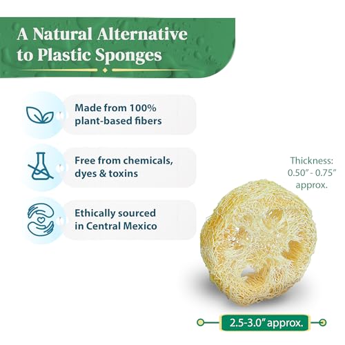 Natural Loofah Slices for Soap Making (20 Pack) - Organic Loufa Cuts - Bulk Luffa - Soap Making Supplies
