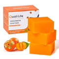 3 PCS Persimmon Soap Bar for Body Odor Control - Deodorizing & Eliminating Body Odor for Old People Smell, Natural Deodorant Persimmon Bar Soap, Organic Body Wash Soap for Women & Men